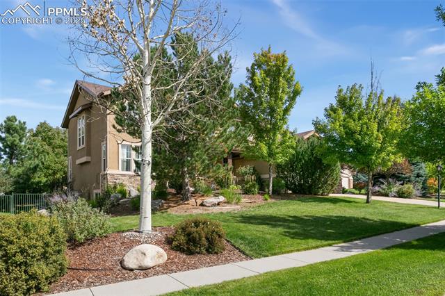MLS Image for 9331  Stoneglen  ,Colorado Springs, Colorado