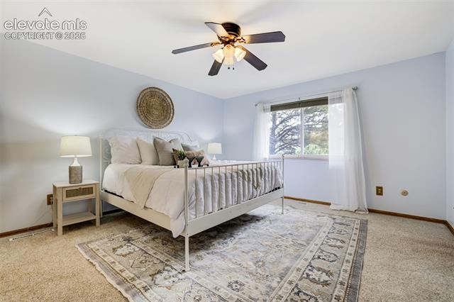 MLS Image for 141  Dolomite  ,Colorado Springs, Colorado