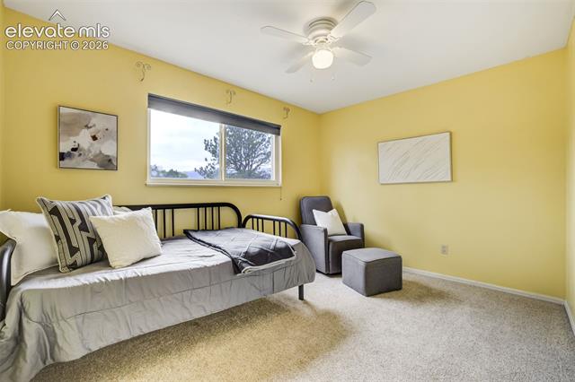 MLS Image for 141  Dolomite  ,Colorado Springs, Colorado
