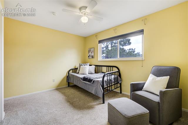 MLS Image for 141  Dolomite  ,Colorado Springs, Colorado