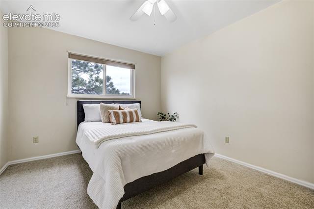 MLS Image for 141  Dolomite  ,Colorado Springs, Colorado