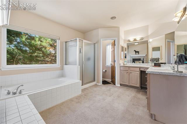 MLS Image for 3805  Alta Mesa  ,Colorado Springs, Colorado