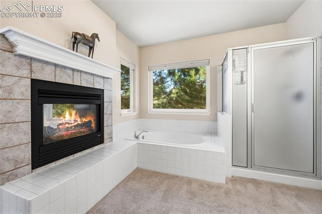 MLS Image for 3805  Alta Mesa  ,Colorado Springs, Colorado