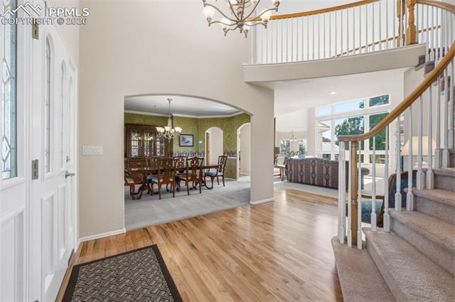 MLS Image for 3805  Alta Mesa  ,Colorado Springs, Colorado