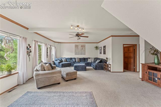 MLS Image for 510  Banner  ,Florissant, Colorado