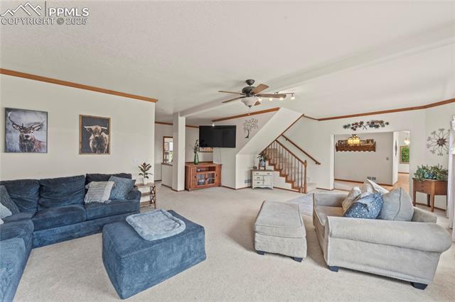 MLS Image for 510  Banner  ,Florissant, Colorado