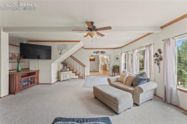 MLS Image for 510  Banner  ,Florissant, Colorado