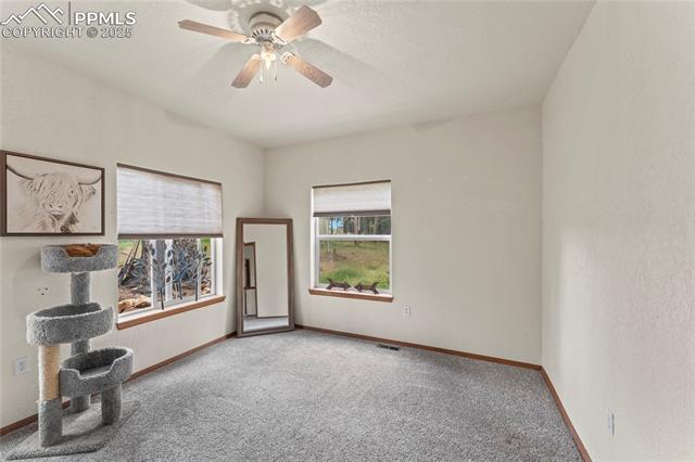 MLS Image for 510  Banner  ,Florissant, Colorado