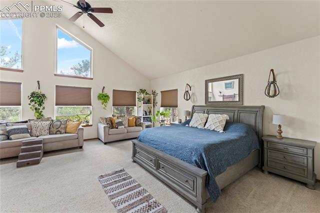 MLS Image for 510  Banner  ,Florissant, Colorado