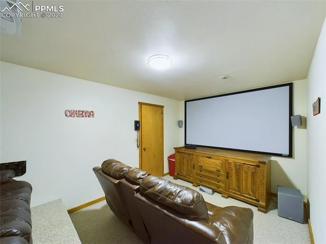 MLS Image for 3352  County Road 51  ,Divide, Colorado