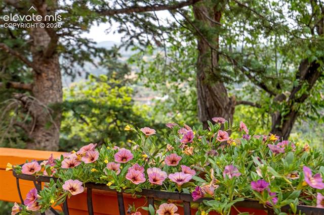 MLS Image for 902  High  ,Manitou Springs, Colorado