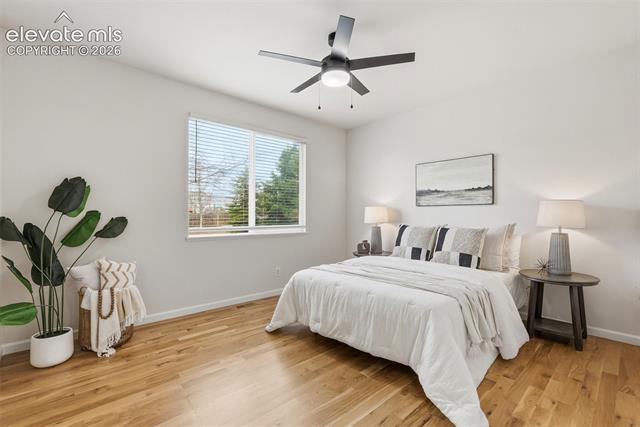 MLS Image for 6641  Alibi  ,Colorado Springs, Colorado