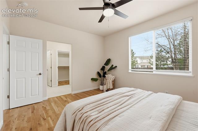 MLS Image for 6641  Alibi  ,Colorado Springs, Colorado