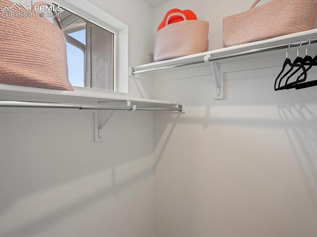 MLS Image for 10748  Lewanee  ,Colorado Springs, Colorado