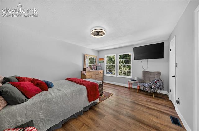 MLS Image for 5172  Iron Horse  ,Colorado Springs, Colorado