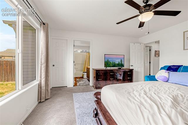 MLS Image for 6538  Fowler  ,Colorado Springs, Colorado