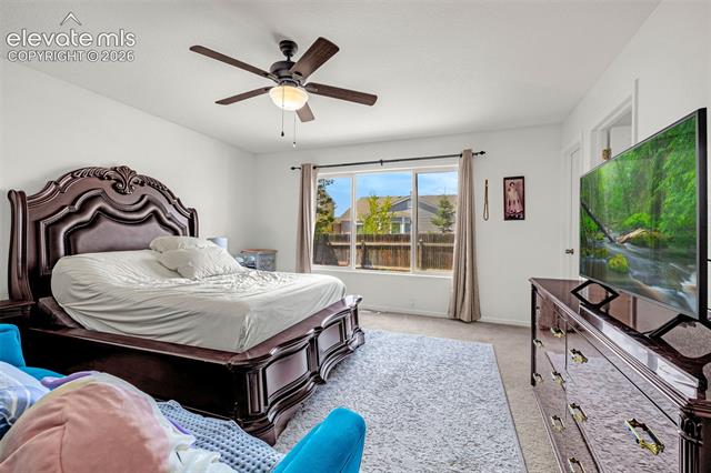 MLS Image for 6538  Fowler  ,Colorado Springs, Colorado