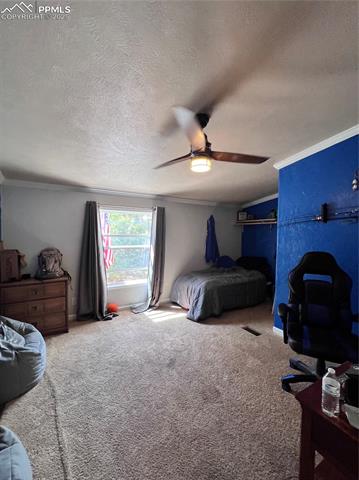 MLS Image for 434  Blue Mountain  ,Florissant, Colorado