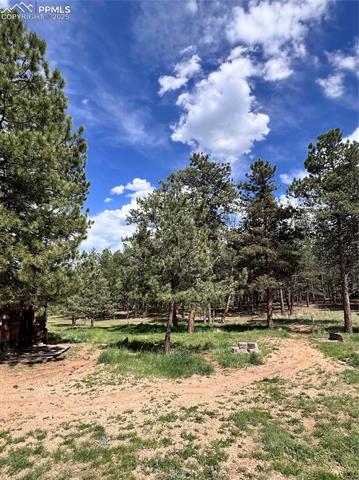 MLS Image for 434  Blue Mountain  ,Florissant, Colorado