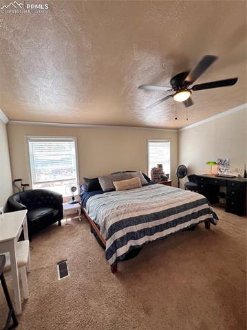 MLS Image for 434  Blue Mountain  ,Florissant, Colorado