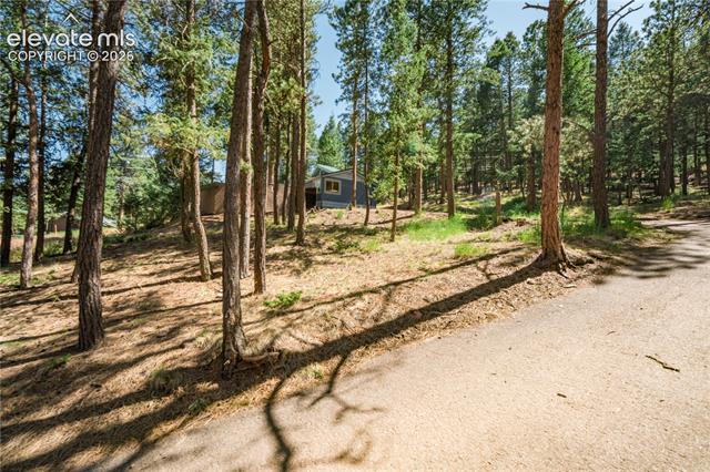 MLS Image for 196  Summer Haven  ,Woodland Park, Colorado