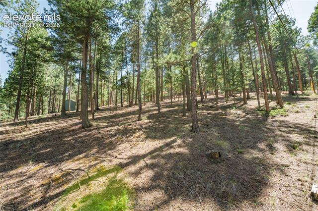 MLS Image for 196  Summer Haven  ,Woodland Park, Colorado