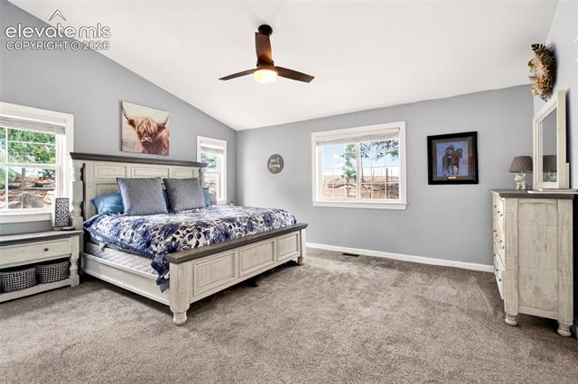 MLS Image for 22991  Deer  ,Elbert, Colorado