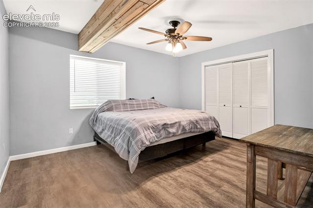 MLS Image for 22991  Deer  ,Elbert, Colorado