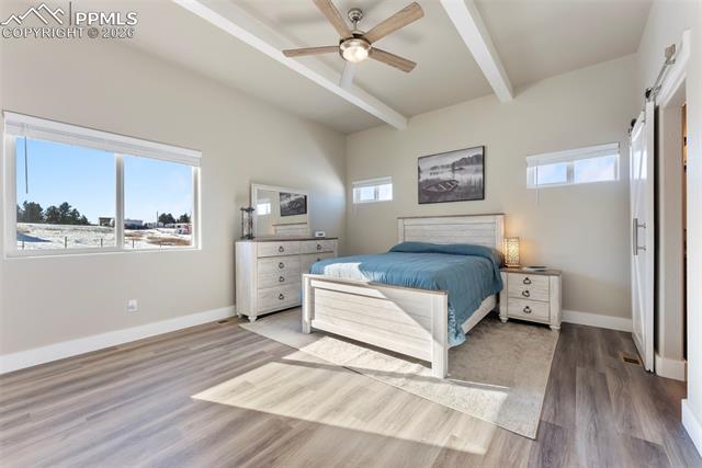 MLS Image for 489  Due South  ,Florissant, Colorado