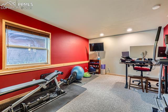 MLS Image for 83  Aspen Village  ,Divide, Colorado