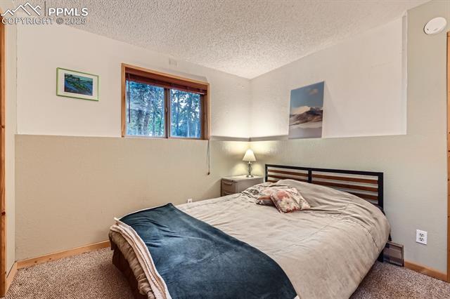 MLS Image for 83  Aspen Village  ,Divide, Colorado