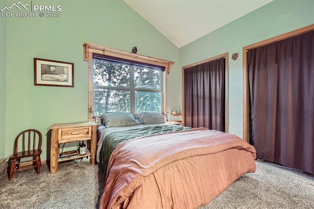 MLS Image for 83  Aspen Village  ,Divide, Colorado