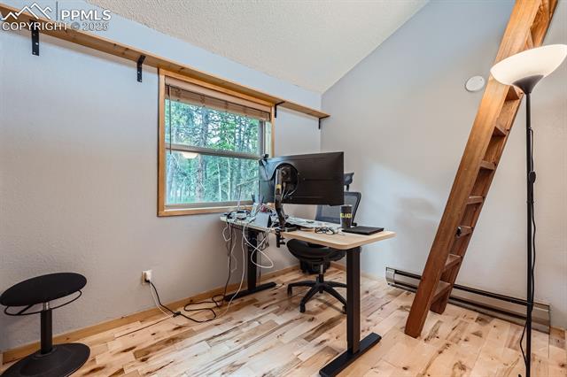 MLS Image for 83  Aspen Village  ,Divide, Colorado