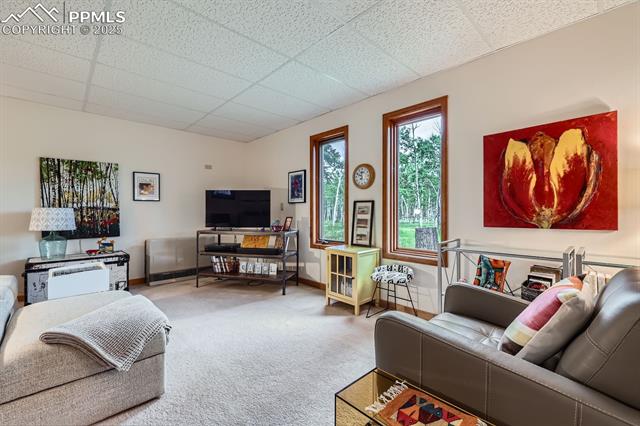 MLS Image for 83  Aspen Village  ,Divide, Colorado
