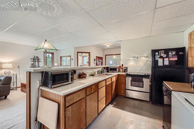 MLS Image for 83  Aspen Village  ,Divide, Colorado