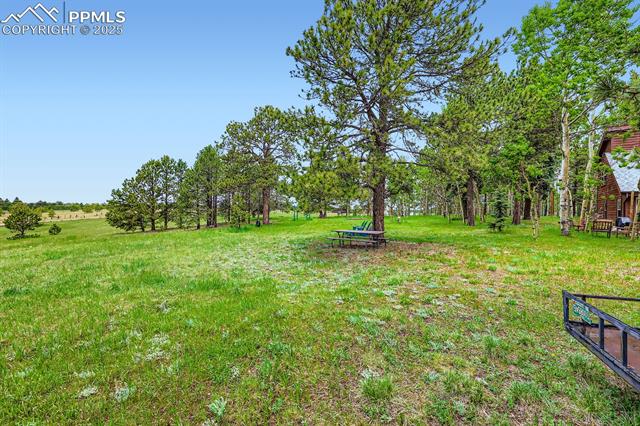 MLS Image for 83  Aspen Village  ,Divide, Colorado