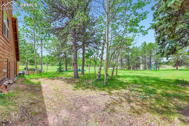MLS Image for 83  Aspen Village  ,Divide, Colorado