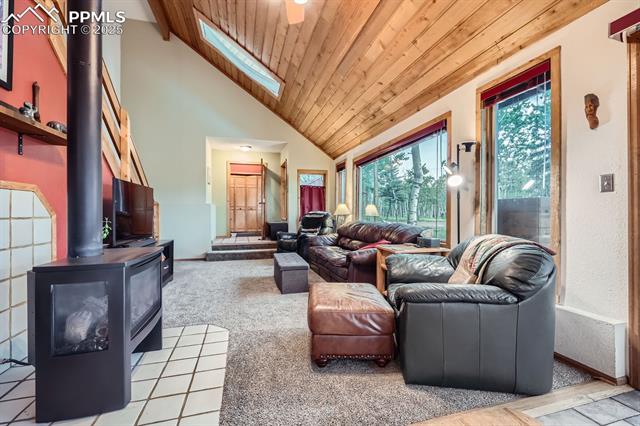 MLS Image for 83  Aspen Village  ,Divide, Colorado