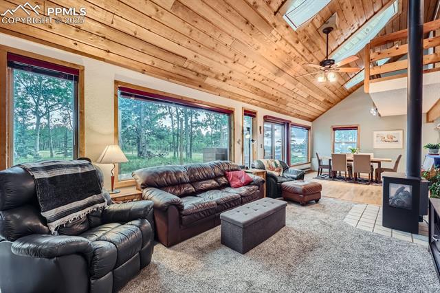 MLS Image for 83  Aspen Village  ,Divide, Colorado