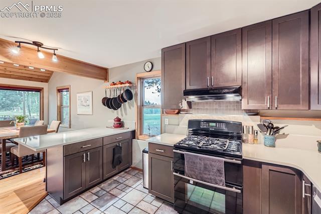 MLS Image for 83  Aspen Village  ,Divide, Colorado