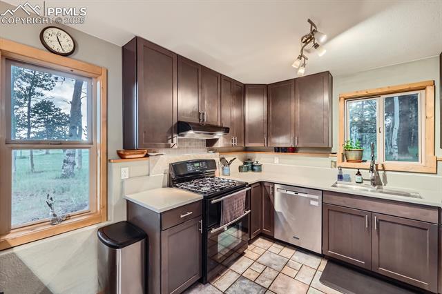 MLS Image for 83  Aspen Village  ,Divide, Colorado