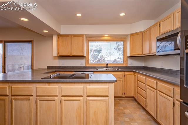 MLS Image for 2419  Astron  ,Colorado Springs, Colorado