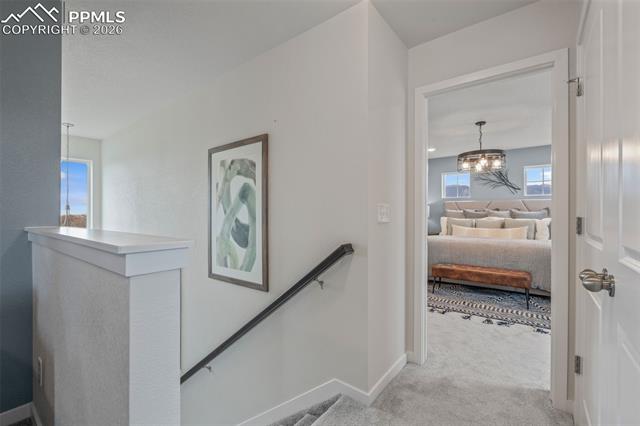 MLS Image for 8562  Blue Feather  ,Colorado Springs, Colorado