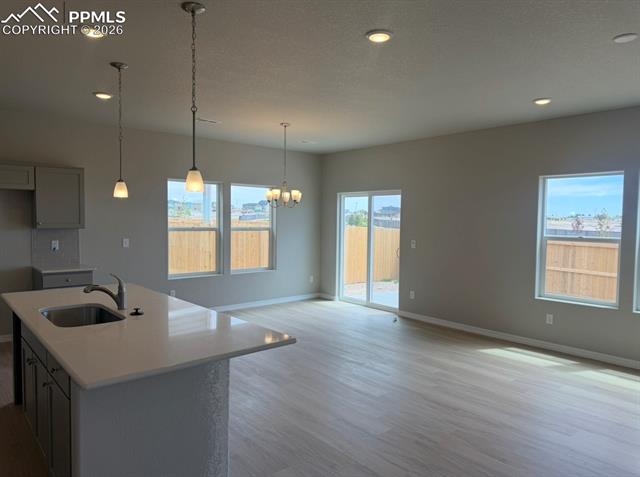 MLS Image for 8562  Blue Feather  ,Colorado Springs, Colorado