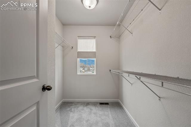 MLS Image for 8562  Blue Feather  ,Colorado Springs, Colorado