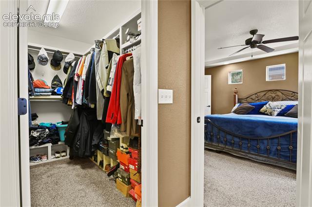 MLS Image for 8276  Cypress Wood  ,Colorado Springs, Colorado