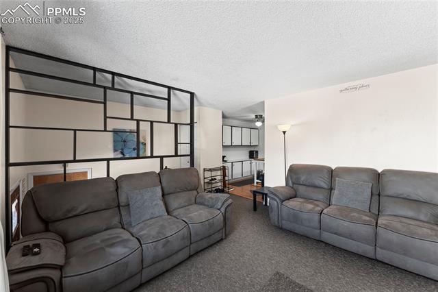 MLS Image for 4135  Neat  ,Colorado Springs, Colorado