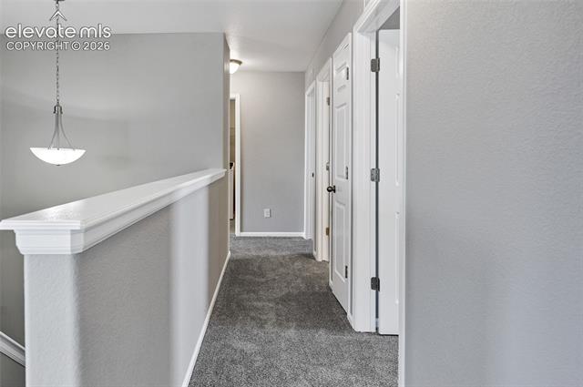 MLS Image for 7585  Alpine Daisy  ,Colorado Springs, Colorado
