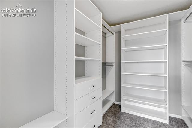 MLS Image for 7585  Alpine Daisy  ,Colorado Springs, Colorado