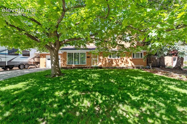 1529  Hollyhock  , colorado springs&nbsp; House Search MLS Picture